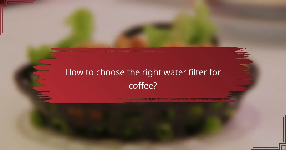 How to choose the right water filter for coffee?