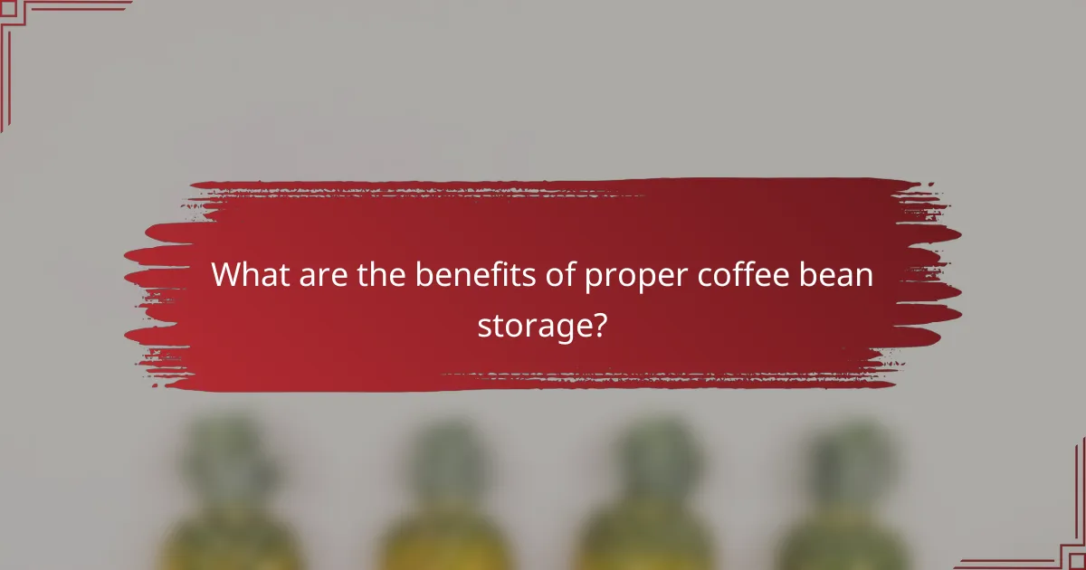 What are the benefits of proper coffee bean storage?